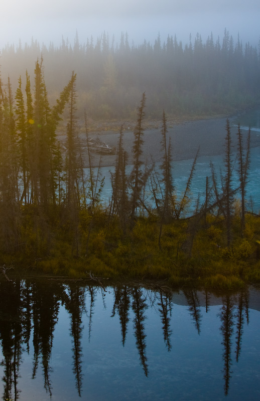 Mist In Toad River Valley